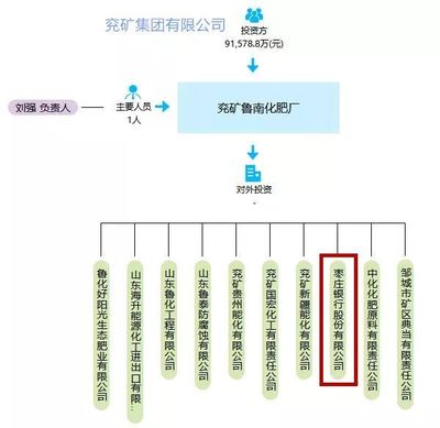 鲁南化肥厂申请破产清算的法律与经济影响分析